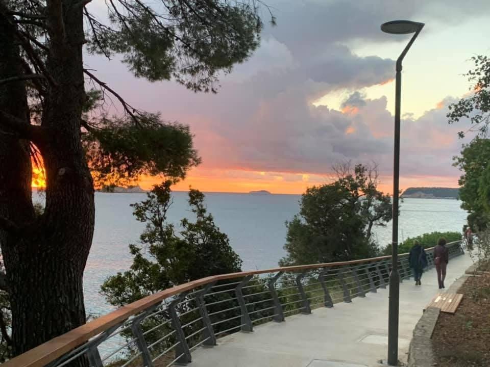 Apartman Alba